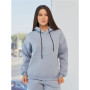 Tracksuit with a hoodie (Grey)