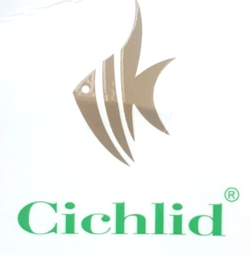 Cichlid